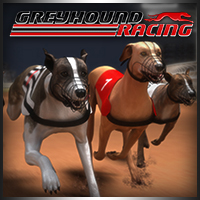 Greyhound Racing - 赛狗