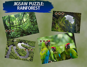 Jigsaw Puzzle Rain Forest - 拼图 雨林