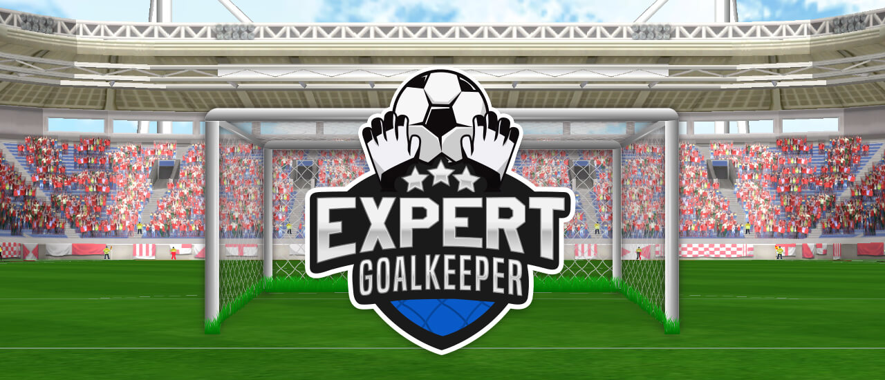 Expert Goalkeeper - 专家守门员
