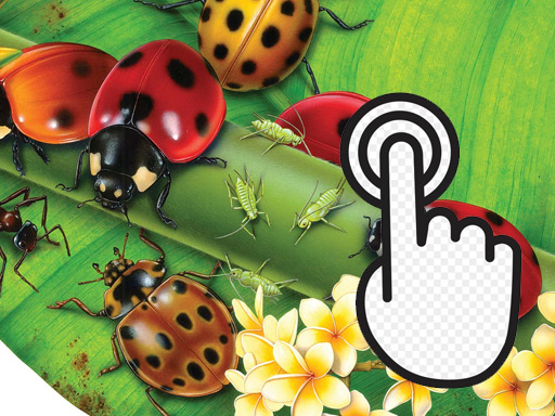 Ladybug Clicker - 瓢虫唱首歌
