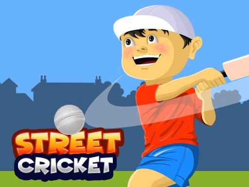 Street Cricket - 街头板球