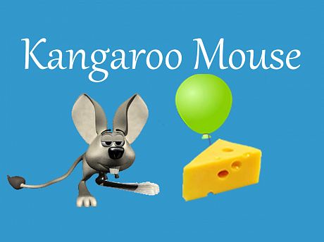 Kangaroo Mouse - 袋鼠鼠
