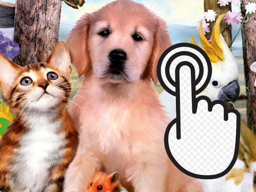 Pets Clicker - 宠物答题器
