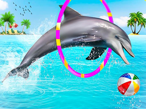Dolphin Water Stunts Show - Dolphin Water Stunts Show