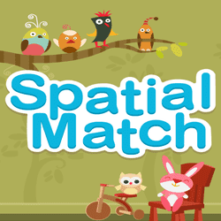 Spatial Match - Spatial Match