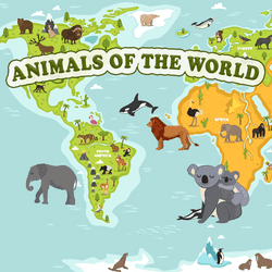 Animals Of The World - Animals Of The World