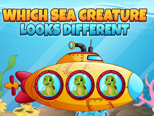 Which Sea Creature Looks Different - Which Sea Creature Looks Different
